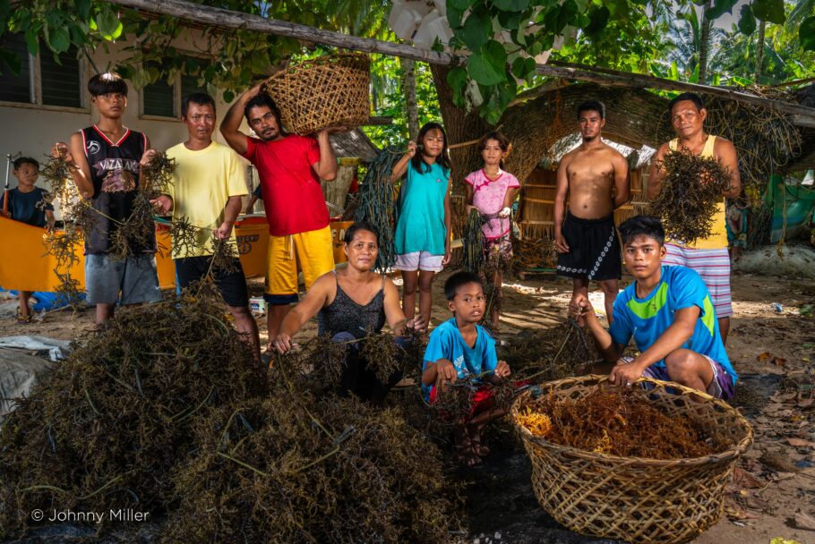 Familia filipina cultivando algas