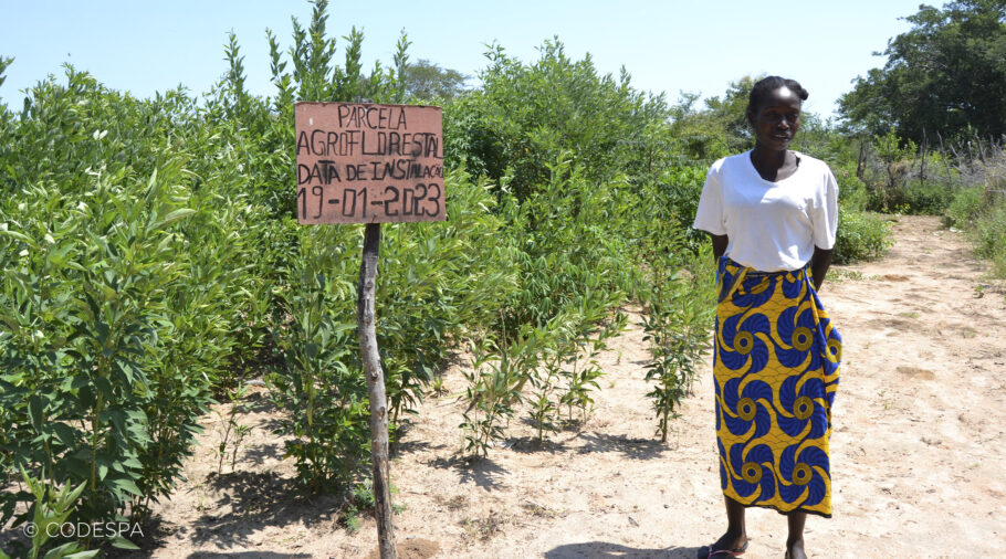 agricultora angola