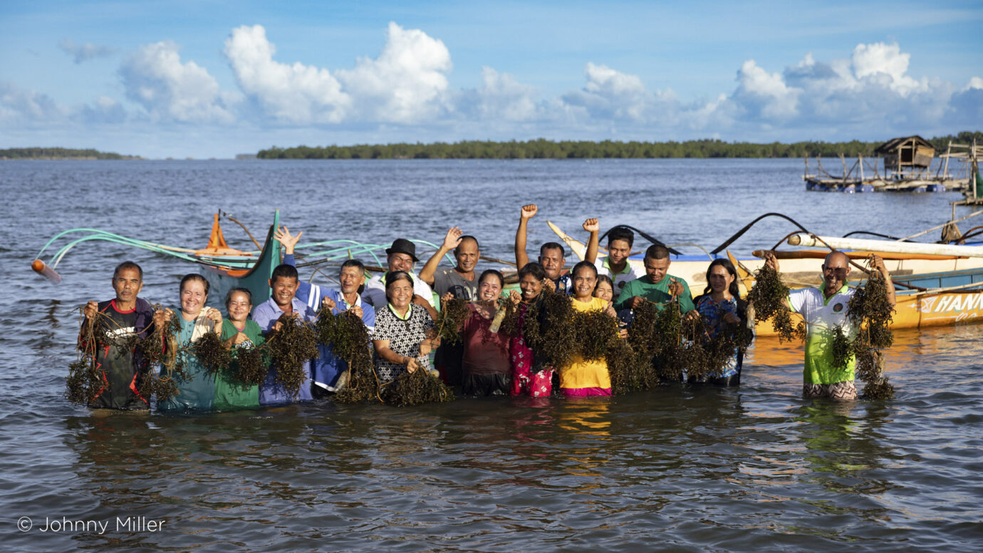 grupo productores algas filipinas