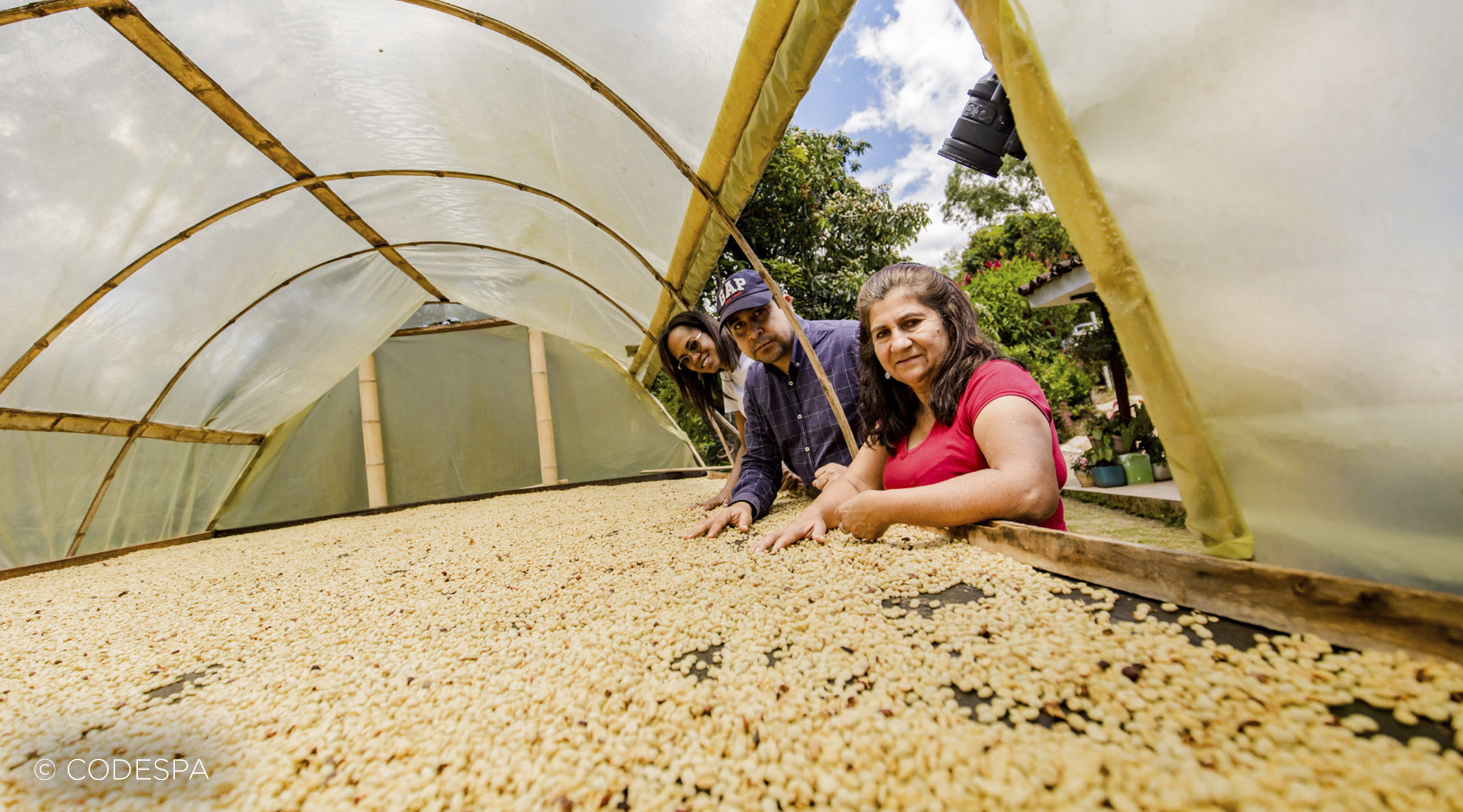 productores colombia