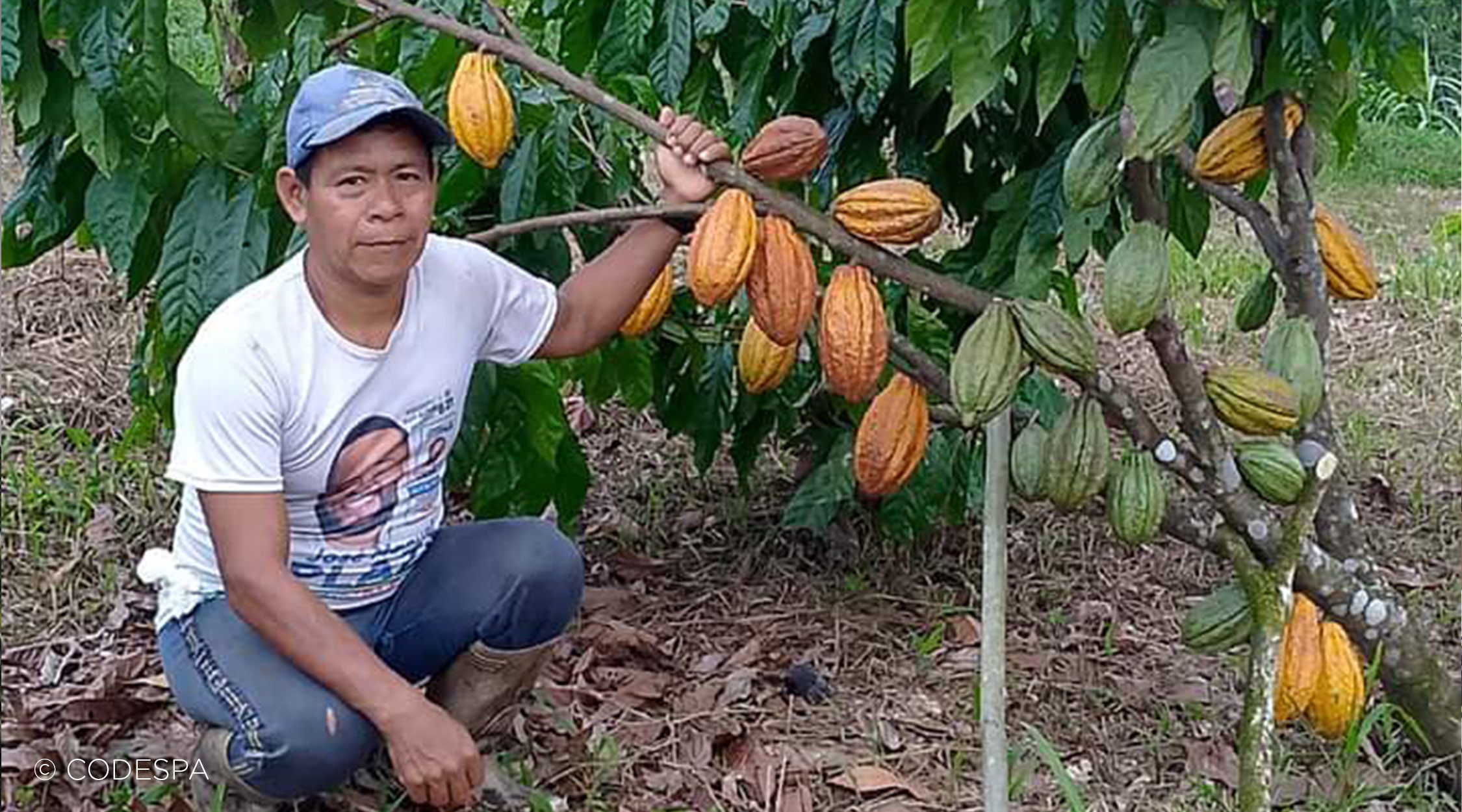 productor cacao ecuador