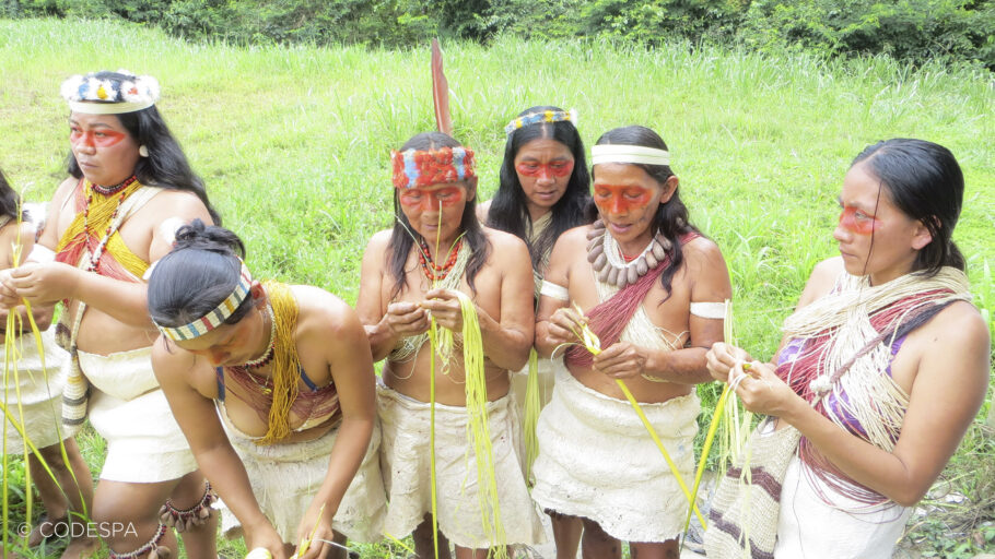 mujeres waorani