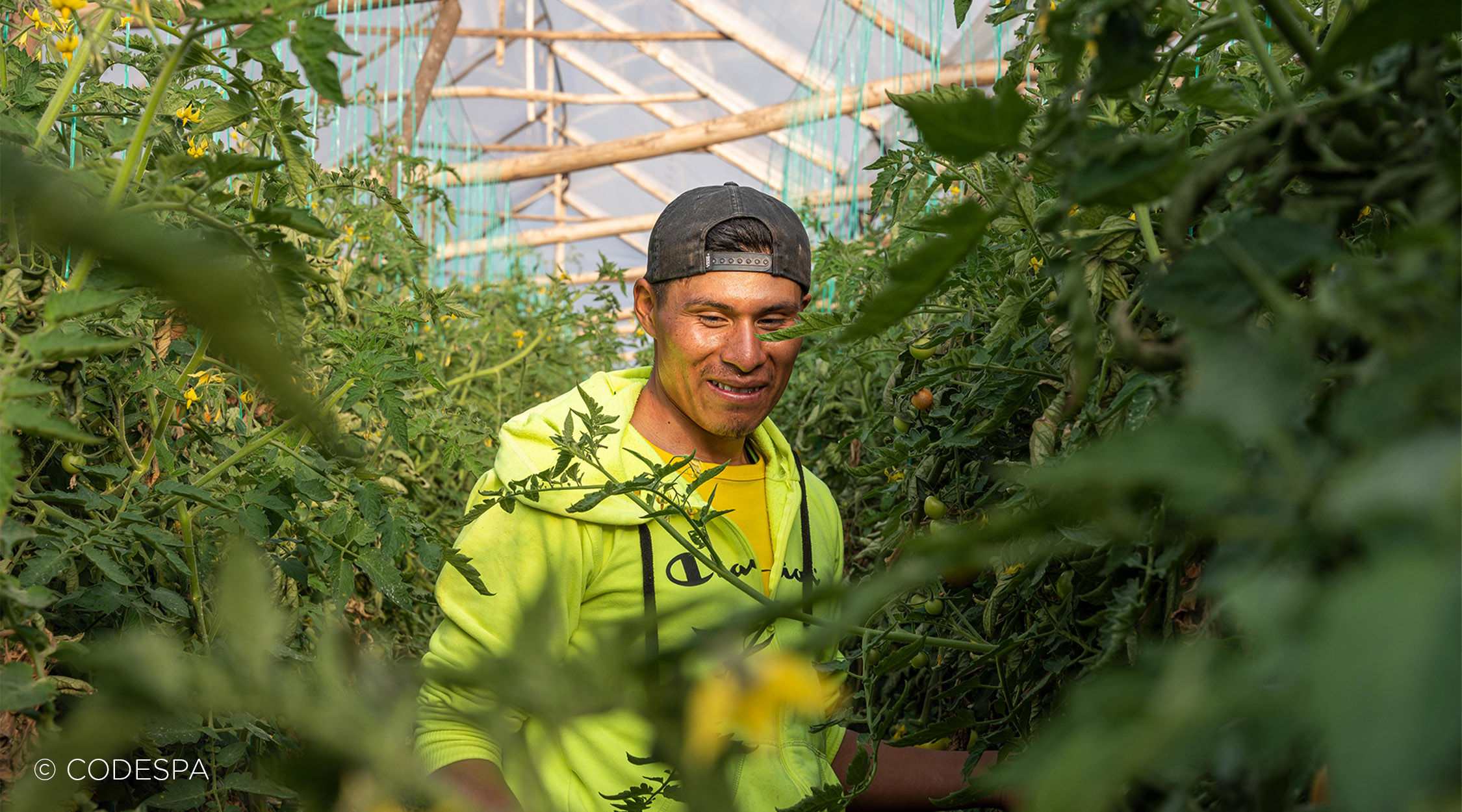 agricultor ecuador